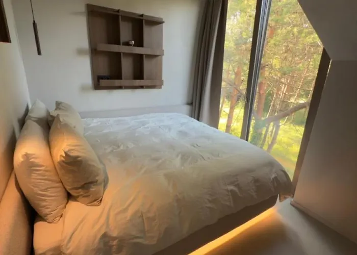 Apartment Pinewood By The Sea Palanga